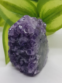 Amethyst  staand klein