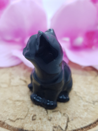 Poesje Obsidiaan schuin