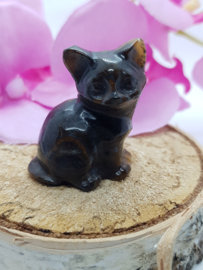 Tijgeroog  poes zitten schuin - nr. 4