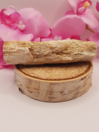 Versteend hout stam - nr. 3