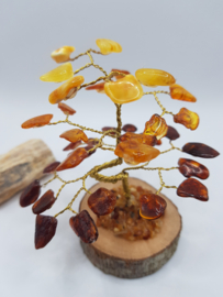 Barnsteen/Amber boom klein - nr.2