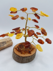 Barnsteen/Amber boom klein - nr.1