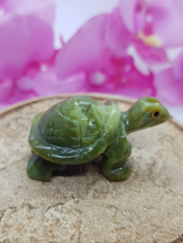 Schildpad Serpentijn