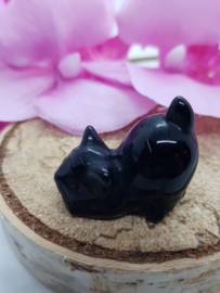 Poesje Obsidiaan staartje