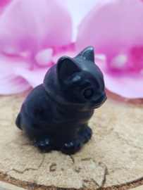 Poesje Obsidiaan zittend