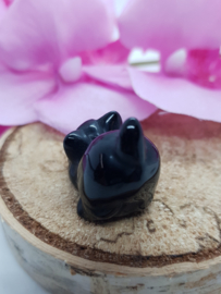 Poesje Obsidiaan staartje