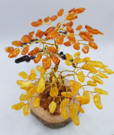 Barnsteen/Amber boom middel