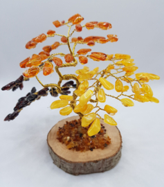 Barnsteen/Amber boom middel