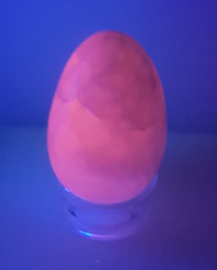 UV Zaklamp - Blacklight incl. batterij