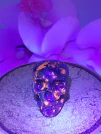 Syeniet Sodaliet aka Yooperlite Skull klein - nr. 1