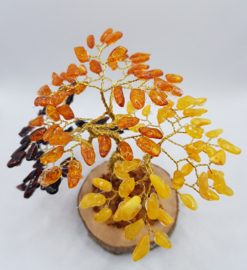 Barnsteen/Amber boom middel