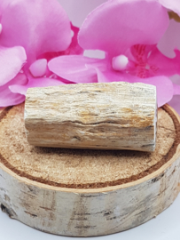 Versteend hout stam - nr. 1