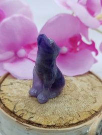 Amethyst wolf