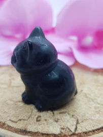 Poesje Obsidiaan zittend