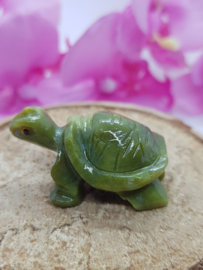 Schildpad Serpentijn