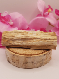 Versteend hout stam - nr. 3