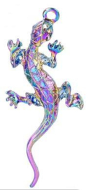 Gekko bedel rainbow