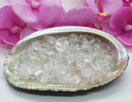 Abalone schelp met op- en ontlaad setje
