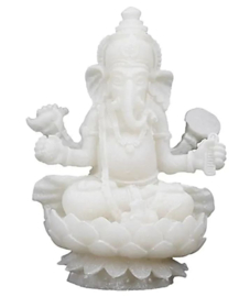 Ganesha - Wit