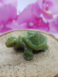 Schildpad Serpentijn
