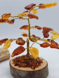 Barnsteen/Amber boom klein - nr.1