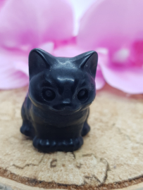 Poesje Obsidiaan zittend
