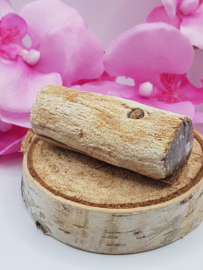 Versteend hout stam - nr. 2