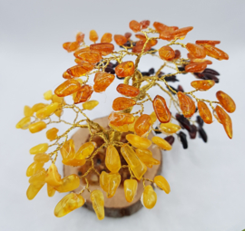 Barnsteen/Amber boom middel