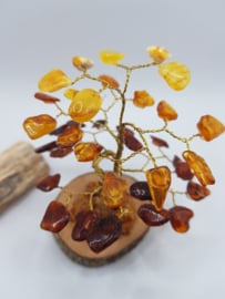 Barnsteen/Amber boom klein - nr.2