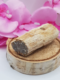 Versteend hout stam - nr. 2