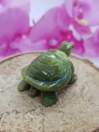 Schildpad Serpentijn