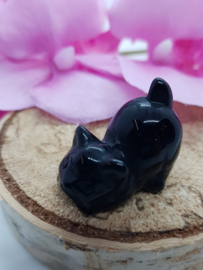 Poesje Obsidiaan staartje