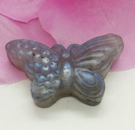Labradoriet vlinder - nr. 1