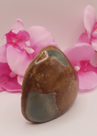 Jaspis Polychroom half gepolijst half ruw