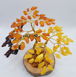 Barnsteen/Amber boom middel