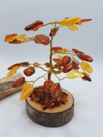 Barnsteen/Amber boom klein - nr.1