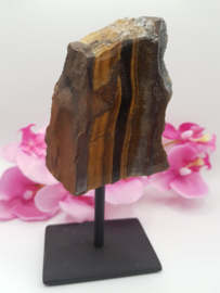 Tijgeroog op standaard