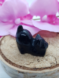 Poesje Obsidiaan staartje