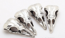 Birdhead skull - zilver