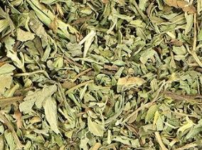 Stevia blad  gedroogd