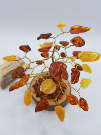 Barnsteen/Amber boom klein - nr.1