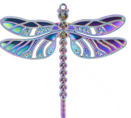 Libelle bedel titanium regenboog