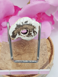 Versteend hout stam - nr. 1