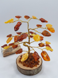 Barnsteen/Amber boom klein - nr.1