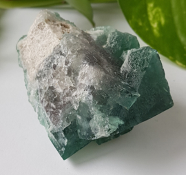 Fluoriet ruw - nr 591