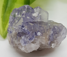 Fluoriet ruw - Muzquiz