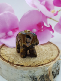 Olifant Tijgeroog