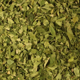 Moringa Oleifera thee