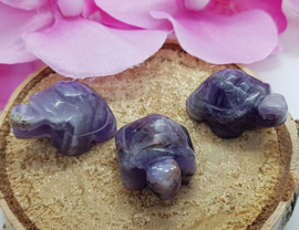 Amethyst schildpad mini