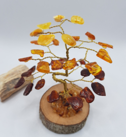 Barnsteen/Amber boom klein - nr.2